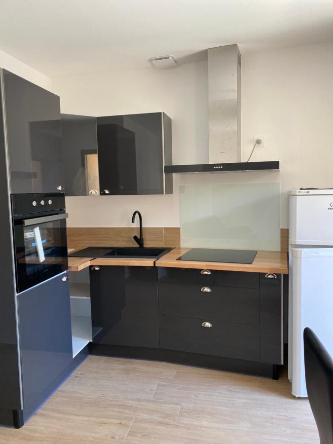Appartements Neufs Avec Garages Dans Maison De Village Andance Экстерьер фото