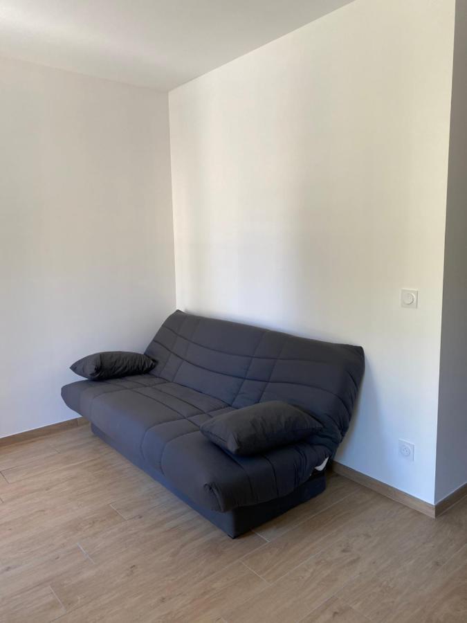 Appartements Neufs Avec Garages Dans Maison De Village Andance Экстерьер фото