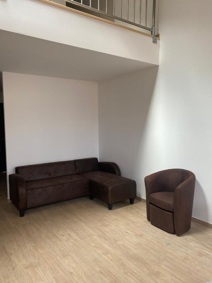 Appartements Neufs Avec Garages Dans Maison De Village Andance Экстерьер фото