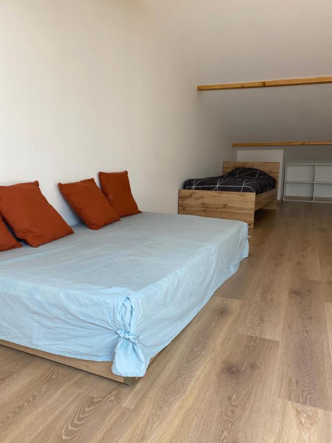 Appartements Neufs Avec Garages Dans Maison De Village Andance Экстерьер фото